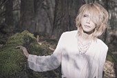 Ｓｈｉｎｙａ「Shinya（DIR EN GREY）、ソロプロジェクト“SERAPH”の未発表曲が『火の鳥』謎解きオンラインゲームの主題歌に起用」1枚目/2