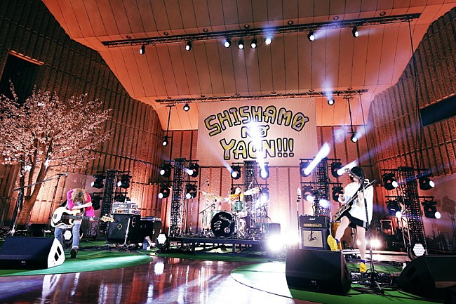 「SHISHAMO、恒例の野音ライブ【SHISHAMO NO YAON!!! 2021】を4月開催」1枚目/1