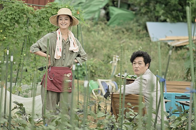 「「にじいろカルテ」佐々木希が井浦新の妻役で登場　「佐々木希を必死に救おうとする井浦新に泣けた」」1枚目/1