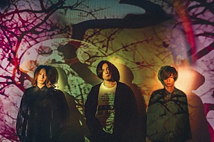 「ヒトリエ、ニューアルバム『REAMP』リリース記念番組をLINE LIVE＆YouTubeで生配信決定」