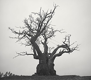 「【ビルボード】SEKAI NO OWARI『SEKAI NO OWARI 2010-2019』が62,926枚でALセールス首位　ずとまよ/millennium paradeが続く」