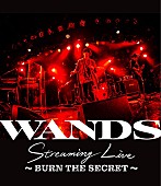 WANDS「WANDS、配信ライブ【WANDS Streaming Live ～BURN THE SECRET～】のBlu-ray化が決定」1枚目/4