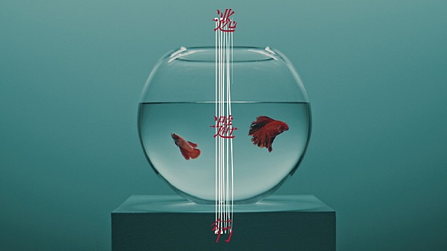 「MVサムネイル」5枚目/5