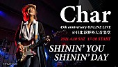 Ｃｈａｒ「Char、4/10にデビュー45周年アニバーサリー日比谷野音ライブ配信が決定」1枚目/1