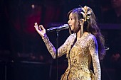 倉木麻衣「倉木麻衣、10月にシンフォニックコンサートの開催が決定」1枚目/4