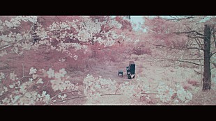 「RADWIMPS、桜色の神秘的な「鋼の羽根」MV公開」