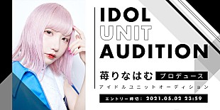 「苺りなはむ（ex.CY8ER）×パンルナリーフィ（ex.BiS/CARRY LOOSE）「日本武道館に立つという夢を叶えたい」新アイドルグループオーディション開催」