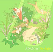 ADAM at「」2枚目/2