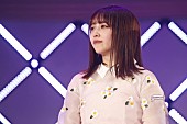 乃木坂46「」7枚目/14