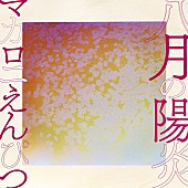 マカロニえんぴつ「「八月の陽炎」」2枚目/2