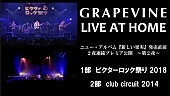 GRAPEVINE「」2枚目/6