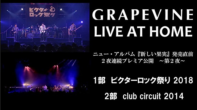 GRAPEVINE「」2枚目/6