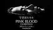 宇多田ヒカル「宇多田ヒカルの新曲「PINK BLOOD」リリース記念エキシビジョンがGinza Sony Parkで開催」1枚目/3