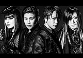 ＡＣＥ　ＯＦ　ＳＰＡＤＥＳ「ACE OF SPADES、初の全国ツアーをdTVで独占配信」1枚目/3