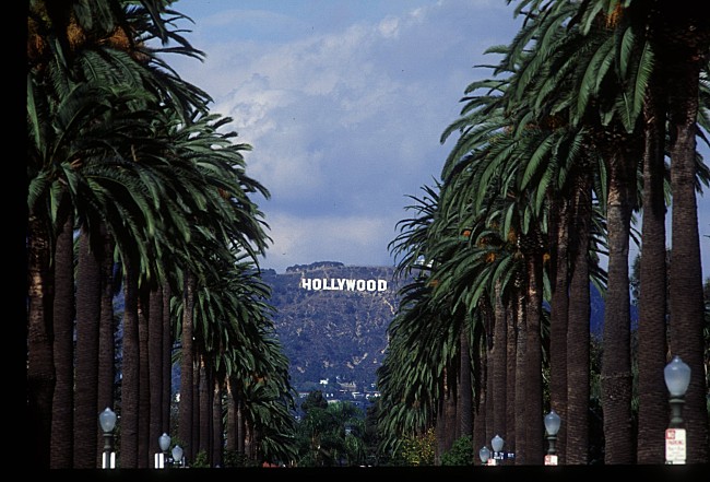 「米ビルボードの親会社ペンスキー・メディア、米LAでフェスティバルの開催を発表」1枚目/1