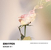 ENHYPEN「【ビルボード】ENHYPEN『BORDER : 儚い』初週23.6万枚でシングル・セールス首位」1枚目/1