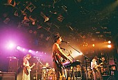 Homecomings「＜ライブレポート＞Homecomings、7か月ぶりワンマンツアーで示した&amp;quot;優しさ&amp;quot;という手段」1枚目/27