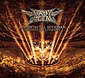 BABYMETAL「LIVE Blu-ray＆ALBUM『10 BABYMETAL BUDOKAN』 - THE ONE LIMITED EDITION 』」5枚目/7