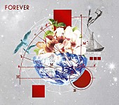 L’Arc～en～Ciel「シングル『FOREVER』LE-CIEL限定盤」4枚目/4