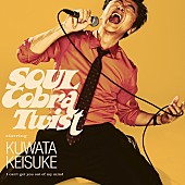 桑田佳祐「桑田佳祐、8/30に新曲「Soulコブラツイスト～魂の悶絶」配信」1枚目/1