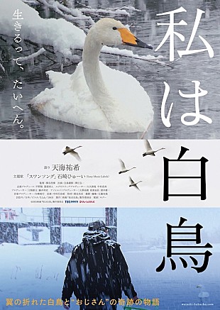 「石崎ひゅーいの新曲「スワンソング」がドキュメンタリー映画『私は白鳥』の主題歌に」