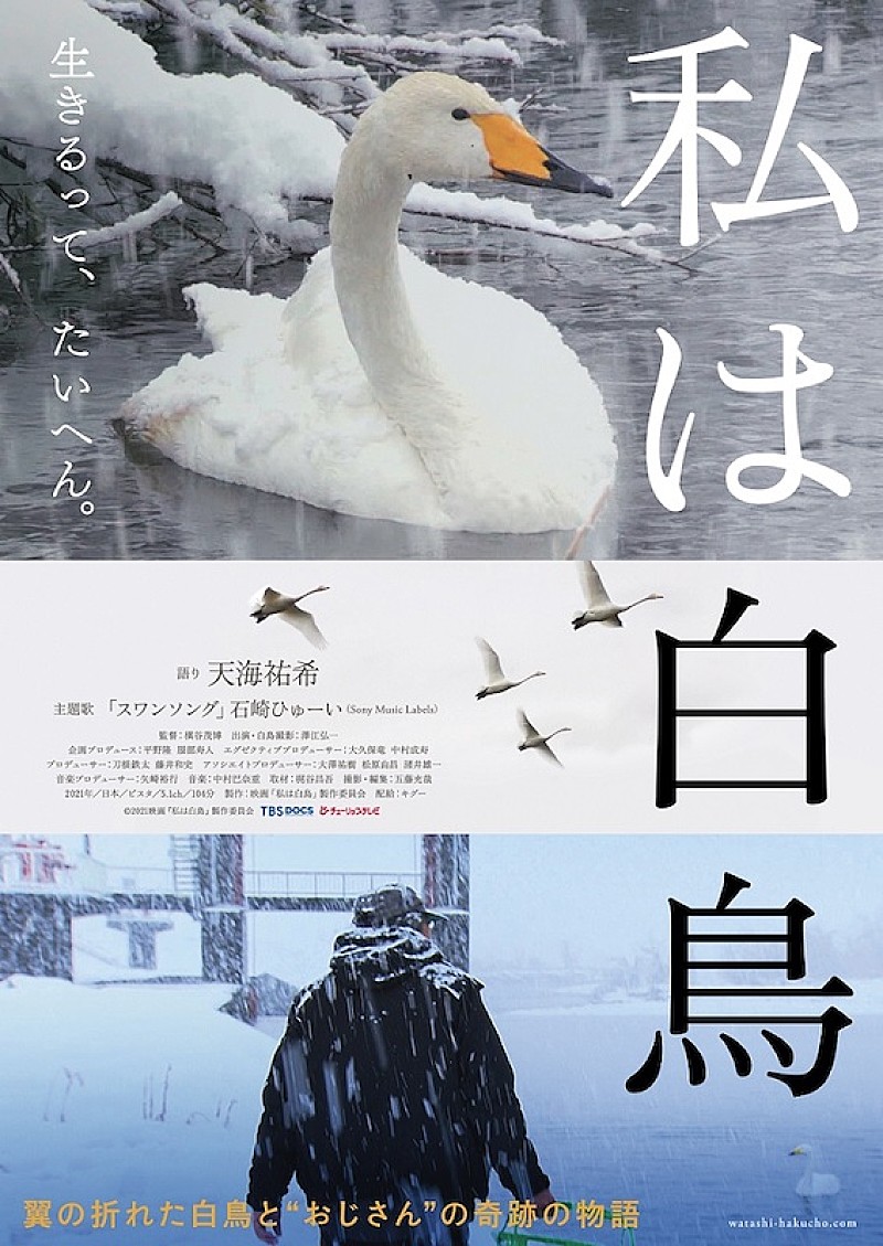 石崎ひゅーい「石崎ひゅーいの新曲「スワンソング」がドキュメンタリー映画『私は白鳥』の主題歌に」1枚目/2