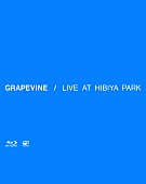 GRAPEVINE「」3枚目/3