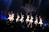 純情のアフィリア「＜ライブレポート＞純情のアフィリア、全国ツアー東京公演開催　全員で築き上げた“歌声”」1枚目/15