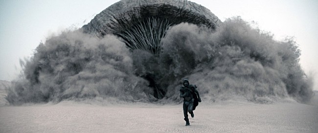 「(c)2020 Legendary and Warner Bros. Entertainment Inc. All Rights Reserved」12枚目/12