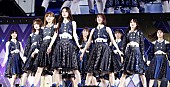 乃木坂46「乃木坂46、新SG『君に叱られた』アンダーライブdTVで生配信決定」1枚目/1