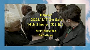 「DISH//、ニューシングル『沈丁花』特典映像ダイジェスト＆タイトル曲のMV公開」