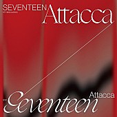 SEVENTEEN「【ビルボード】SEVENTEEN『Attacca』が通算2週目の総合アルバム首位　アバが4位に初登場」1枚目/1