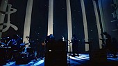 amazarashi「amazarashi、全国ツアーより新曲「境界線」ライブ映像を公開」1枚目/7