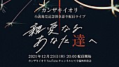 カンザキイオリ「カンザキイオリの弾き語りライブ【親愛なるあなた達へ】12月23日無料配信」1枚目/3