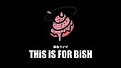 BiSH「BiSH、12/24朝に緊急ライブ【THiS is FOR BiSH】生配信決定」1枚目/2