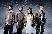 Survive Said The Prophet「サバプロ、2月2日発売のニューシングルより「Win / Lose」MV公開」1枚目/1