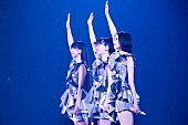 Perfume「Photo by 渡邊玲奈（田中聖太郎写真事務所）」8枚目/11