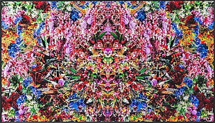 「world’s end girlfriend、ビジュアル作品「Reincarnation No.9」限定リリース」