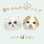 「2匹の猫ユニットが「猫ちゃんのラブソング」配信リリース、2022年2月22日“スーパー猫の日”にMV公開」1枚目/2