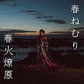 春ねむり「春ねむりの2ndフルアルバム『春火燎原』の全貌が明らかに」1枚目/2