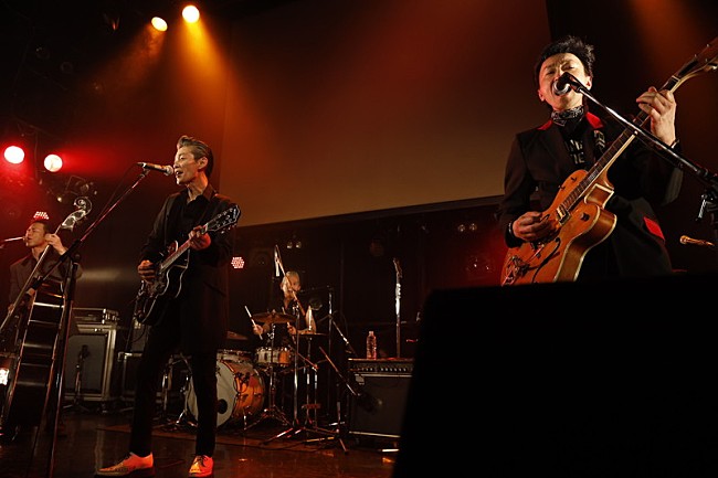 「THE KING CATS」15枚目/20