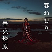 春ねむり「春ねむり、北米ツアーの公式トレーラー公開」1枚目/2