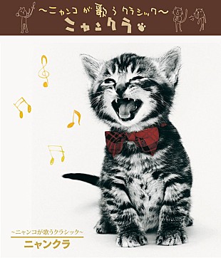 「猫界の名盤『～ニャンコが歌うクラシック～ニャンクラ』サブスク解禁」