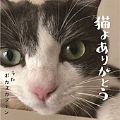 ポカスカジャン「ポカスカジャンが歌う「猫よありがとう」、2022年2月22日“スーパー猫の日”に配信リリース」1枚目/2