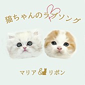 「2匹の猫ユニットによる「猫ちゃんのラブソング」MV公開＆「猫の日」特番も配信」1枚目/1