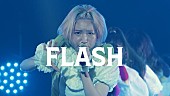 豆柴の大群「豆柴の大群、「FLASH」ライブ映像公開」1枚目/1