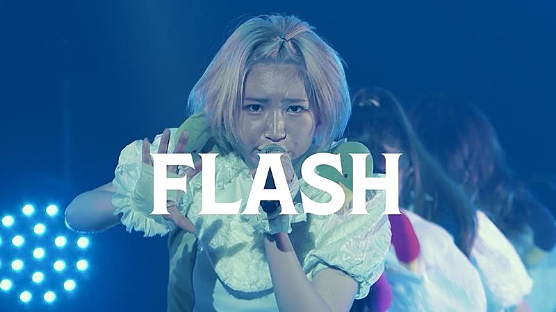 豆柴の大群、「FLASH」ライブ映像公開