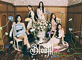 Red Velvet「Red Velvet、AL『Bloom』リード曲「WILDSIDE」音源＆MV公開」1枚目/1