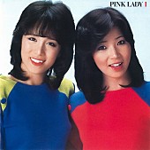 「ピンク・レディー解散直前の“銀箱 LP-BOX”『PINK LADY』配信スタート、当時の新曲11曲は初配信」1枚目/4