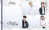 Stray Kids「プリ機『CAOLABO2』×「Stray Kids」コラボレーション」2枚目/5